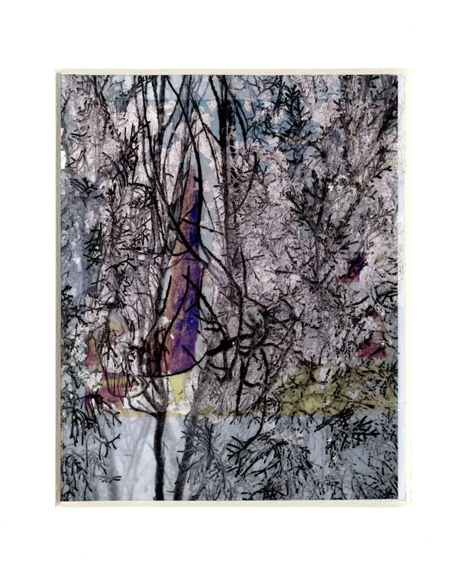 Gohar Dashti Untitled #7, 2024