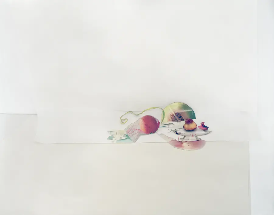 Laura Letinsky, Untitled #3, 2009. Courtesy the artist and Yancey Richardson Gallery