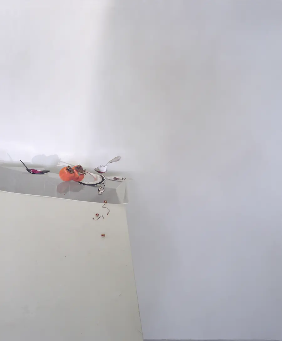 Laura Letinsky, Untitled #12, 2011. Courtesy the artist and Yancey Richardson Gallery