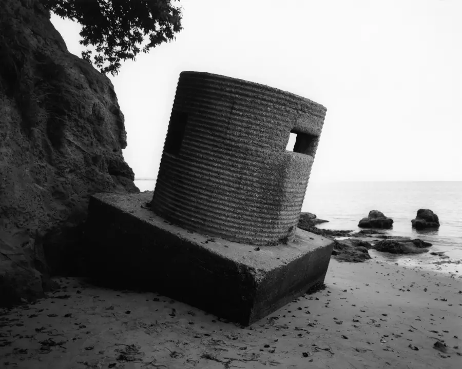 A black and white image from the series Sentinel by Martin Newth