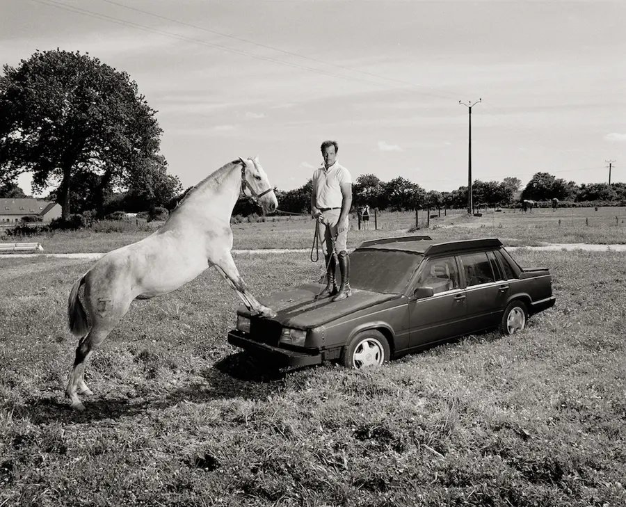 Audio description below