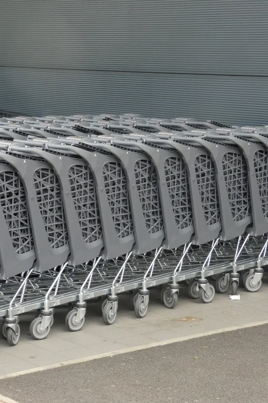 Colour photograph of rows of shopping trolleys, neatly parked on ashphalt.