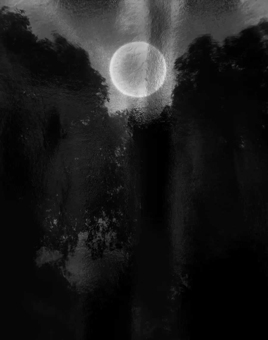 Black and white photograph depicting a bright full moon partially obscured by textured, shadowy tree silhouettes