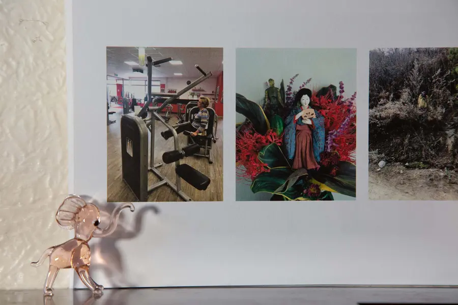 A book placed on a shelf with a glass elephant next to it.