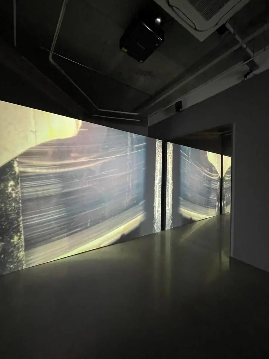 Blurred archival image 