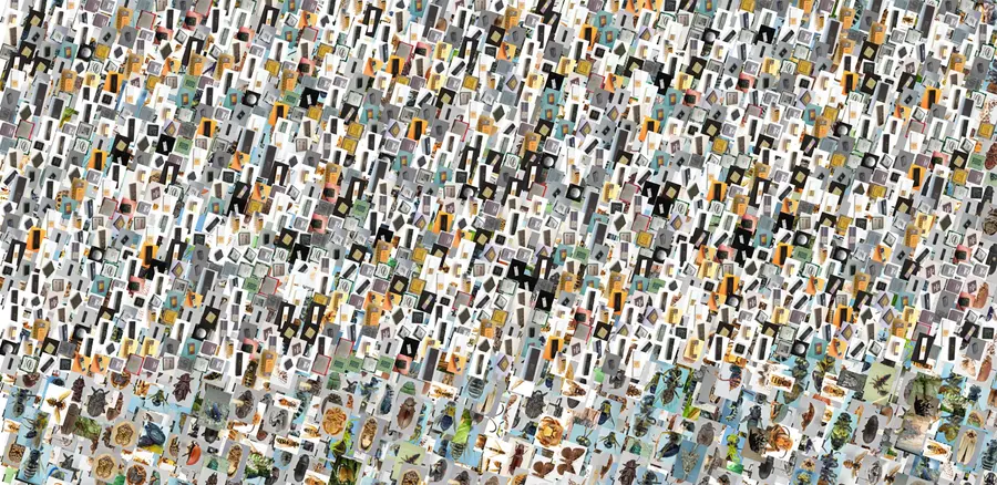 Hundreds of small overlapping images of microprocessors and insects