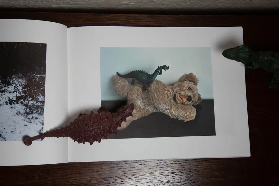 A book opened on the page of a bear. 