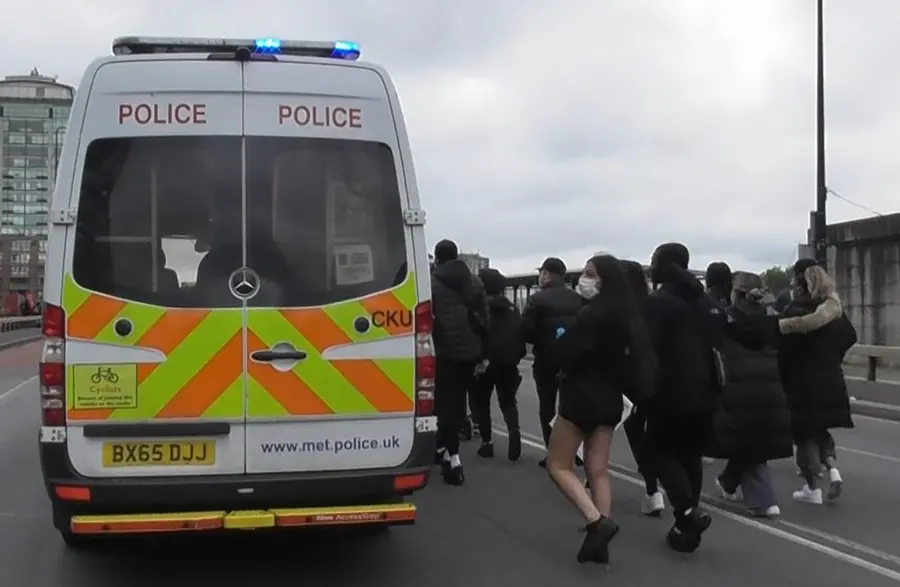 An image of the Black Lives Matter movement by Janaki Mistry