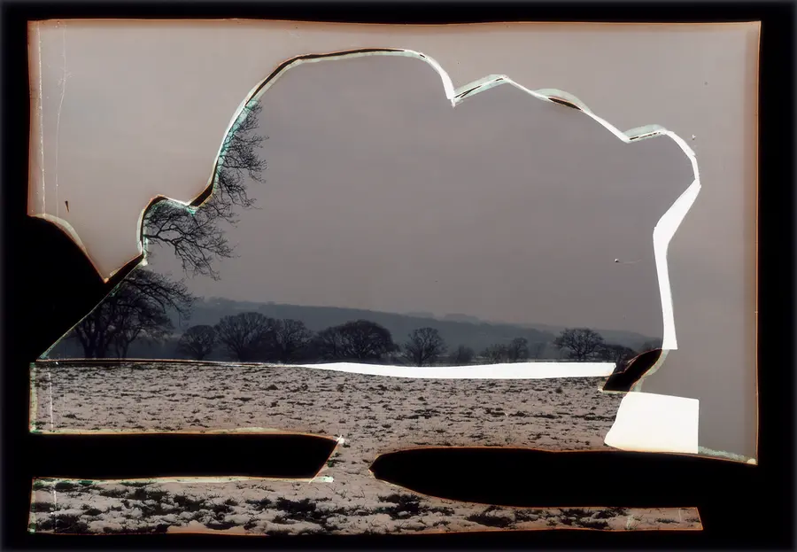 An image by Dafna Talmor