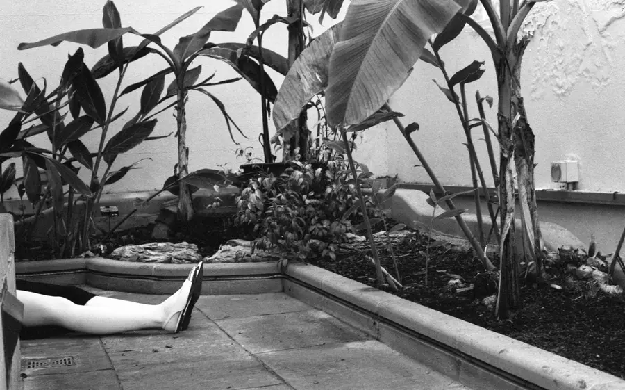 A black and white image of a persons legs on a ground and plants.