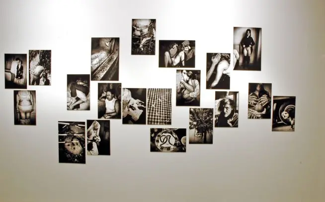 Colour photograph of exhibition installation