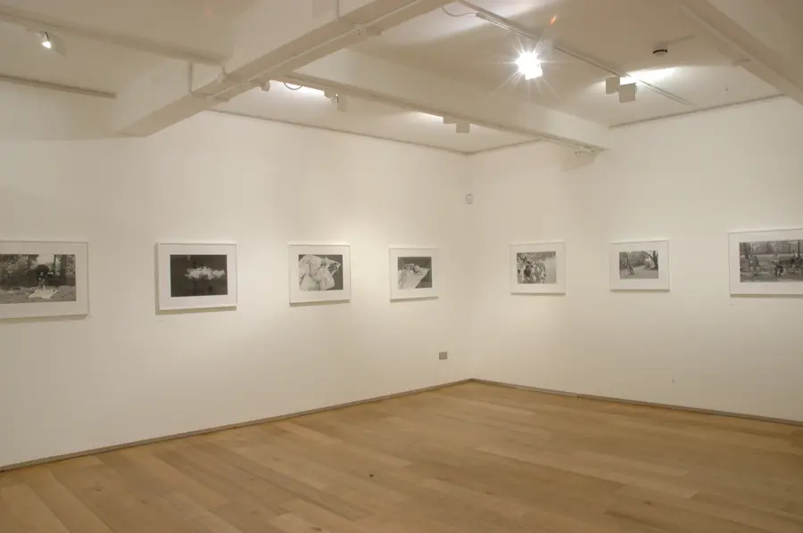 Colour photograph of exhibition installation
