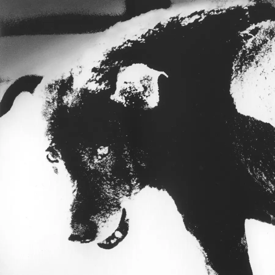 A black and white close up of a dog panting.