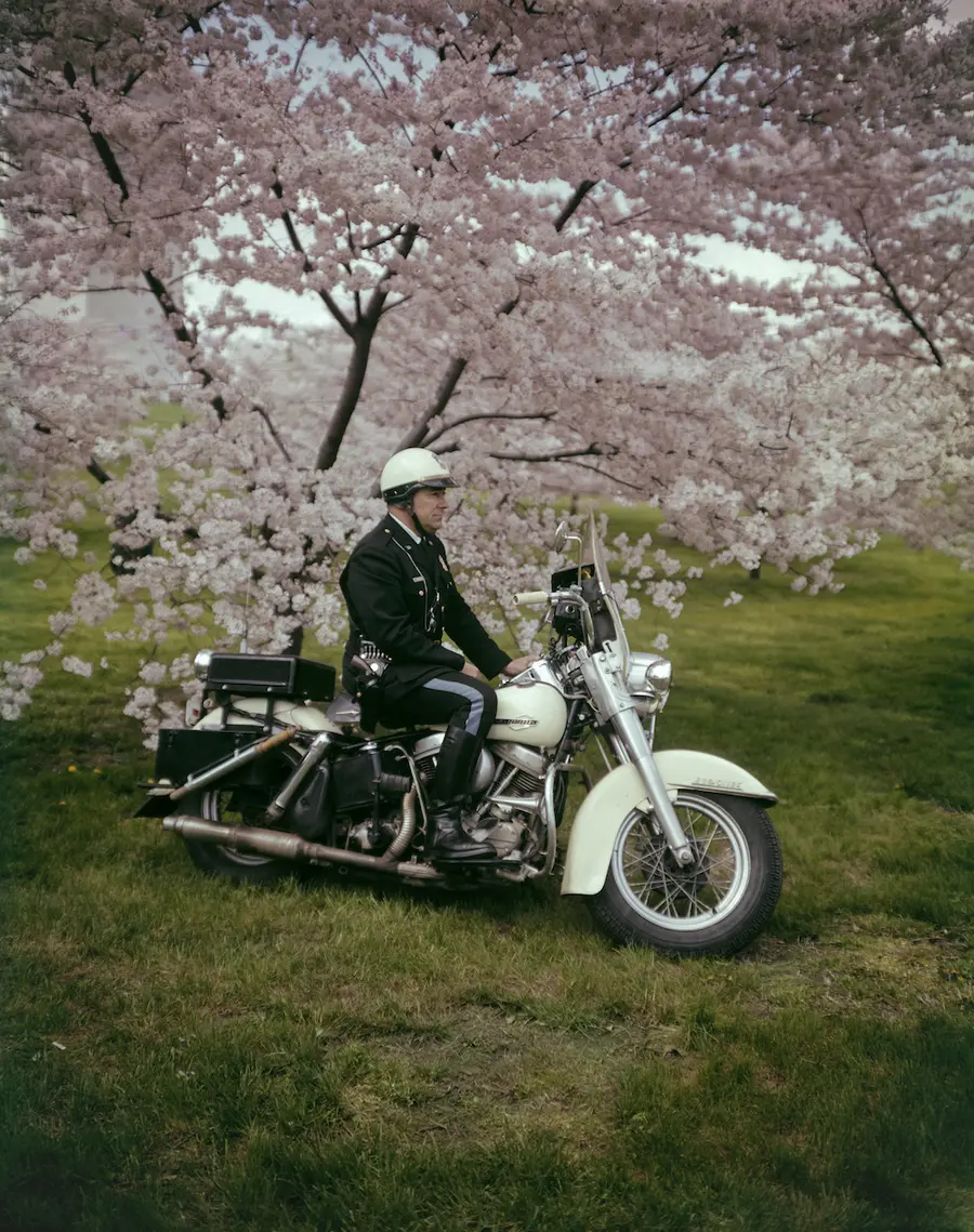 A colour photograph of a police officer sitting on a cream coloured motorbike on a lawn in front of a pink-blossomed fruit tree.