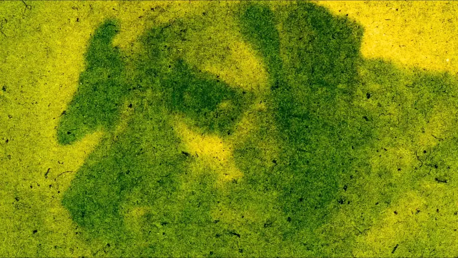 The face of a dog rendered in a textured green print