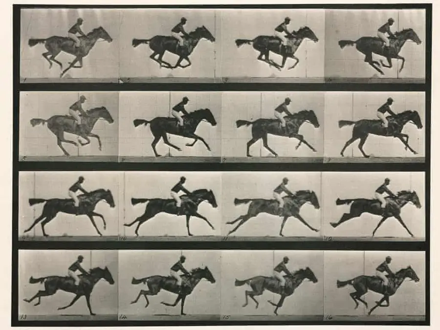 A series of photographs of a horse running.