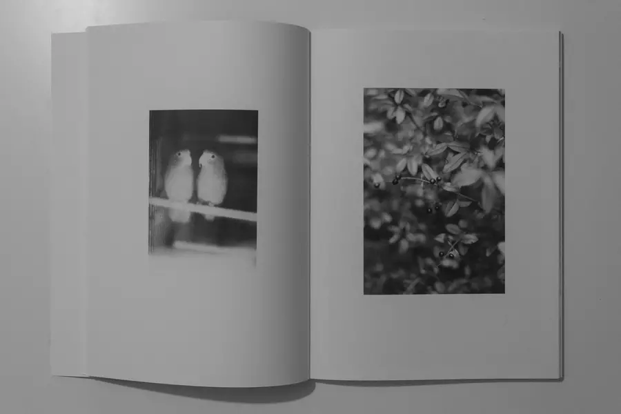 Open book spread, Image of two birds on one page, image of two berries on the other 