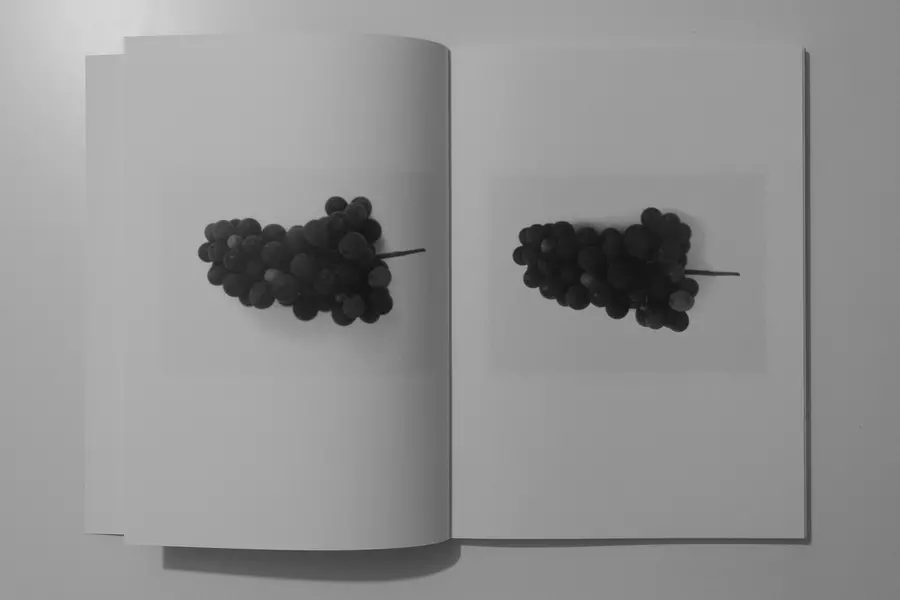 Open page, black and white image of grapes on each page. The images are similar but not identical.