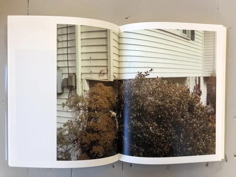 A spread from Raymond Meeks' Ciprian Honey Cathedral