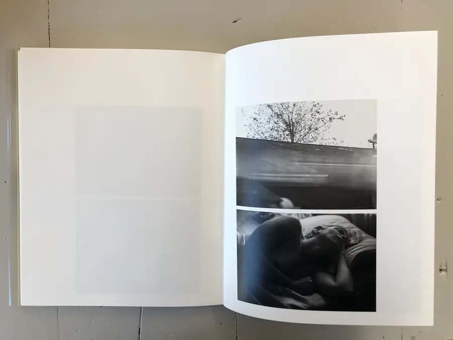 A spread from Raymond Meeks' Ciprian Honey Cathedral