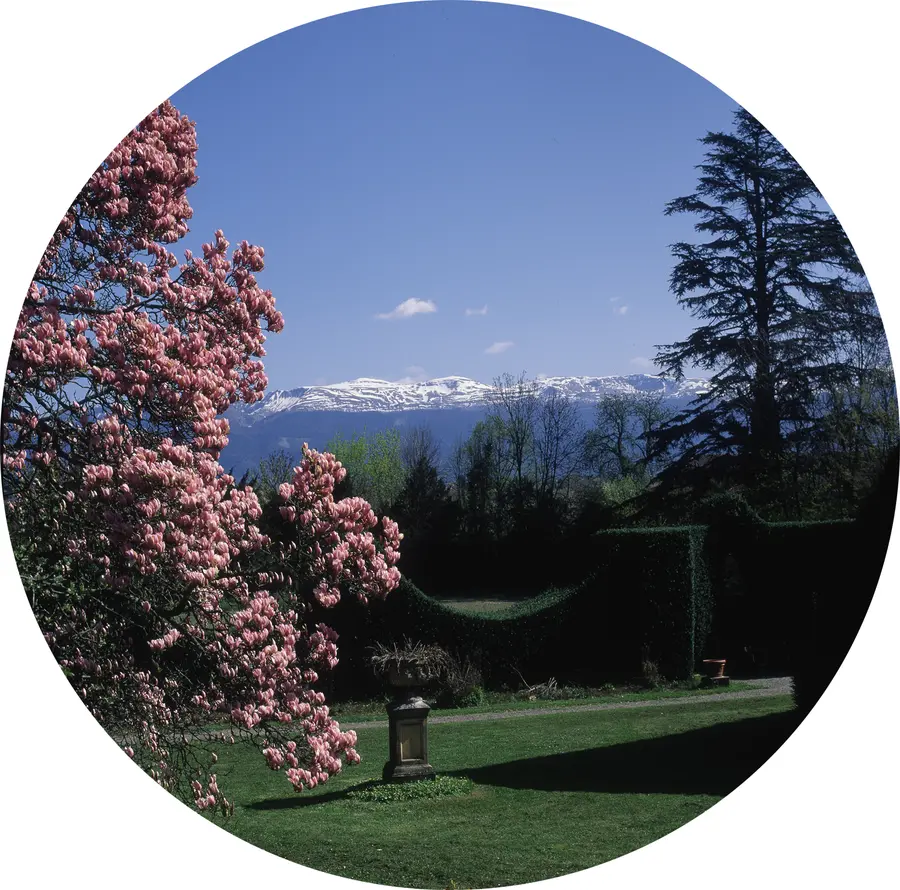 L'Aquillonde Venus by Karen Knorr 