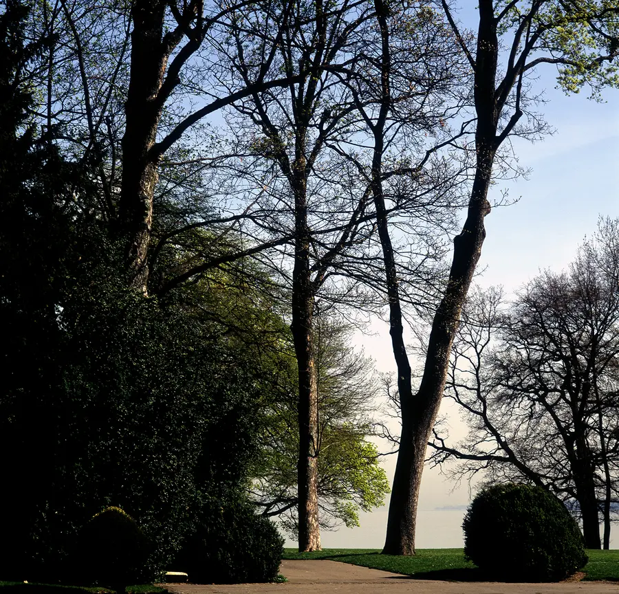 L'Ermitage du Citoyen by Karen Knorr