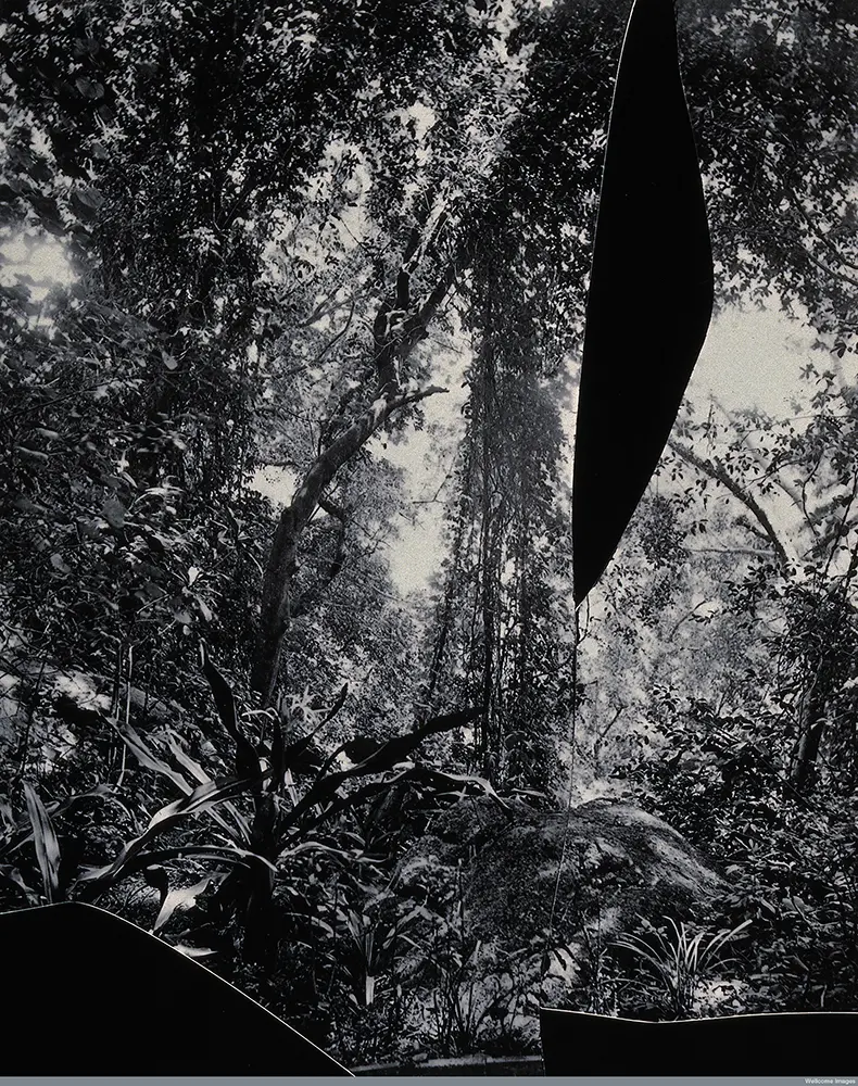 Image from John Thomson, Stravaigin Saurs: Easie-Osie (Wandering Winds: Lazy), in Chinese Makars, by Robert Crawford and Norman McBeath, 2016