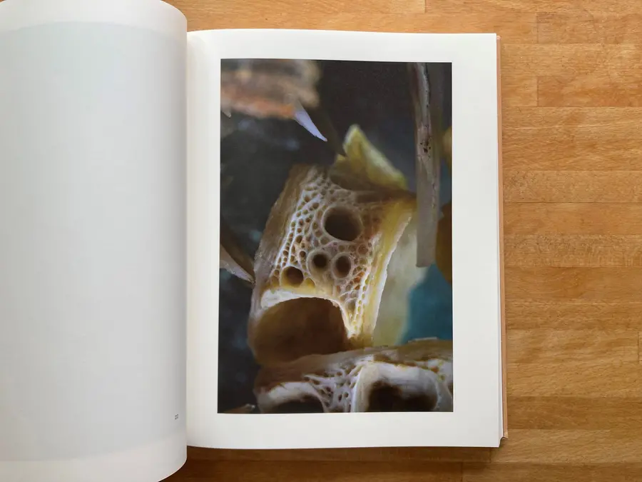 Image on the right hand page, resmebles the inside of a bone, multiple holes of varing size, looks organic, but still very abstract. 