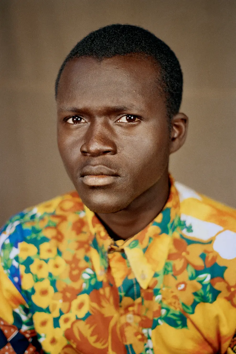 colour photograph of 