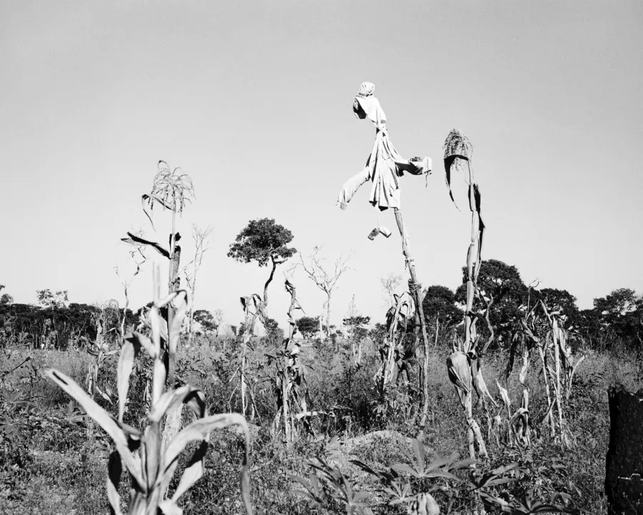 Artwork - JR, As Terras do Fim do Mundo, Scarecrow in a cornfield near Chitembo, 2009