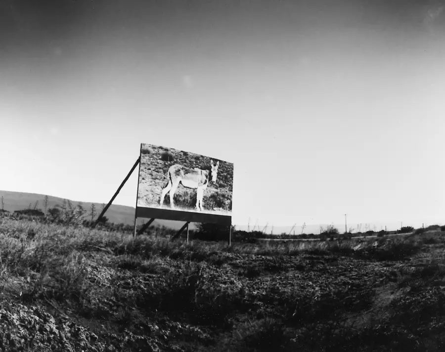An image of the Donkey Billboard from End of Time by Jo Ractliffe, taken on a pinhole camera, 1999