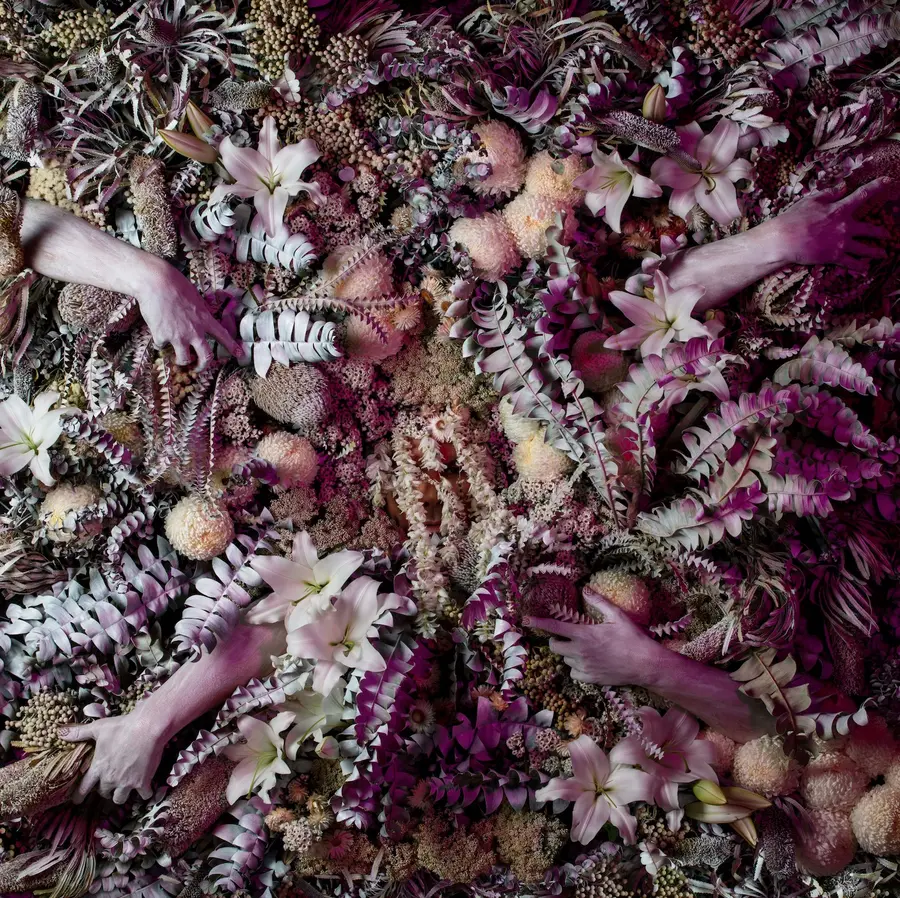 Christian Thompson, Being Human Human Being , 2022. Commissioned by Photo Australia for PHOTO 2022 International Festival of Photography Courtesy the artist and Sarah Scout Presents, Melbourne