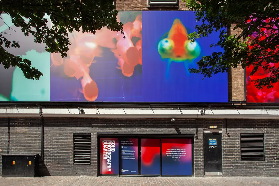 Photograph of a street, Soho Photography Quarter, showcasing Ninagawa's work in London