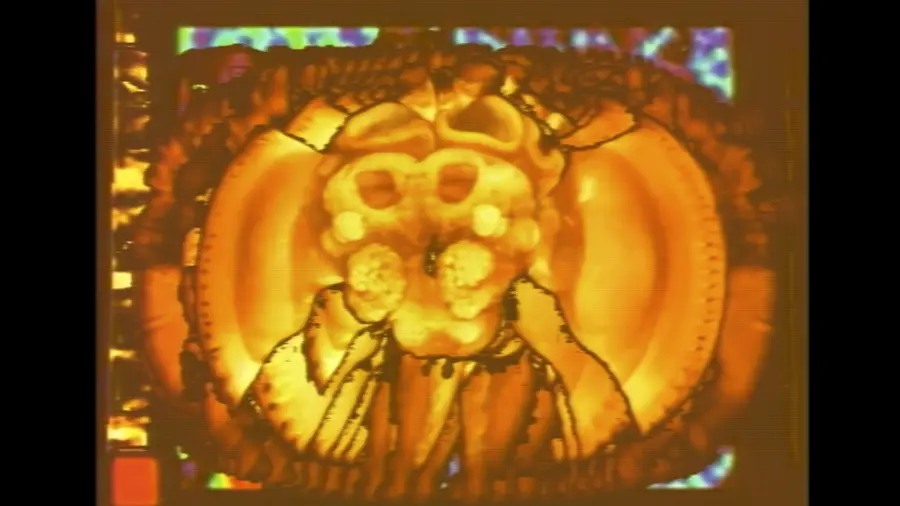 A heatmap of a bee from close up, its head taking up the middle of the screen, all coloured a fiery orange