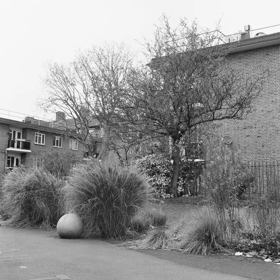 A black and white image called Searching for Dawes Street by Dana Ariel