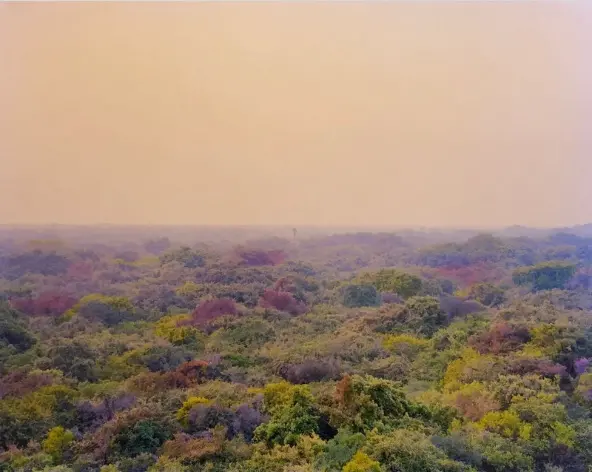 A landscape taken from a high vantage point with a pastel peach sky and trees below whose leaves have been coloured in purples, pinks, yellows and greens.