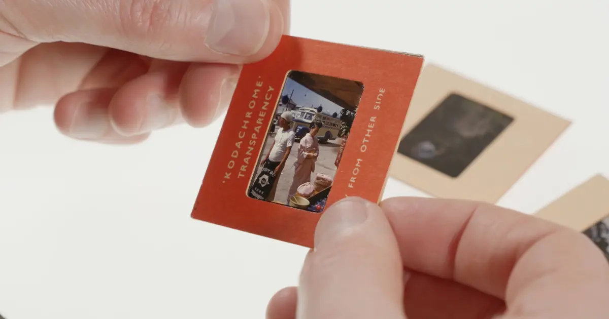 Course: Collecting Photography 2024 | The Photographers Gallery