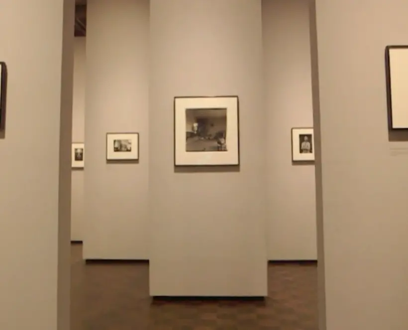 A Young Person Recommends... Diane Arbus: In the Beginning