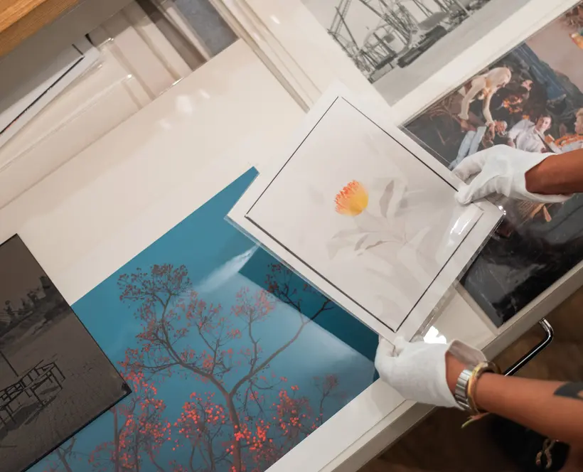 Photograph of two hands wearing white gloves handling a photograph taken from an open storage drawers taken from a 