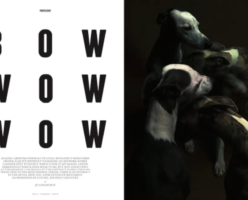 Magazine spread with Bow Wow Wow and smaller text on left and photo of slumbering dogs on the right.