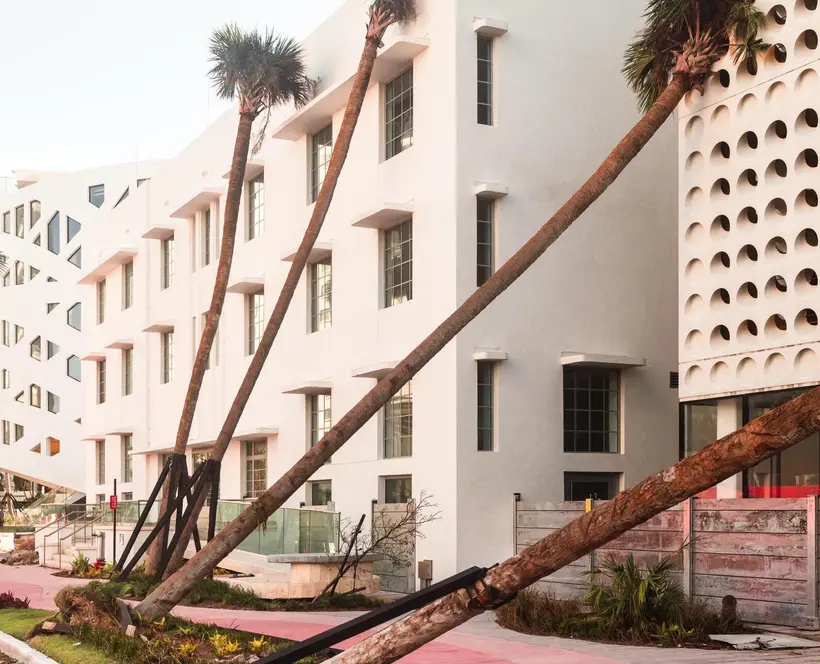 Photograph of a pink sidewalk with uprooted palm trees leaning on white Modernist buildings