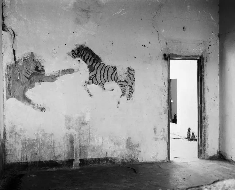Black and white photograph of a room with a doorway with mural featuring a tiger and zebra on the wall