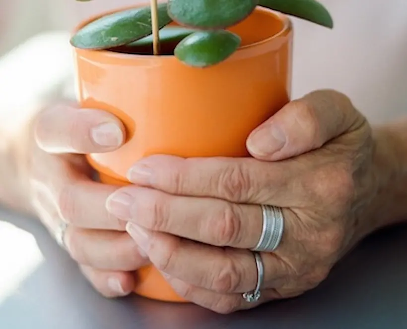 Hands grasp an orange plant pot.