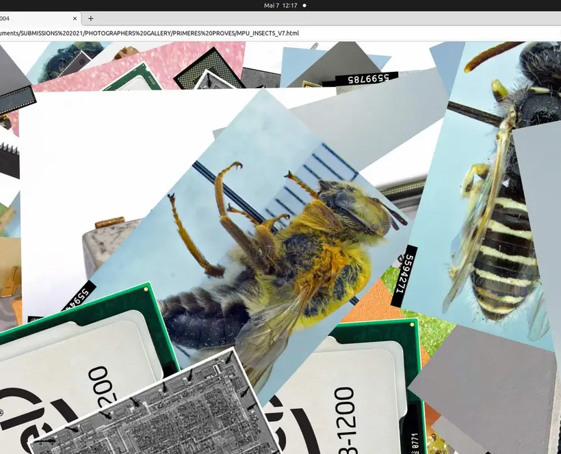 Screenshot of multiple overlaid thumbnails of bees and microprocessors