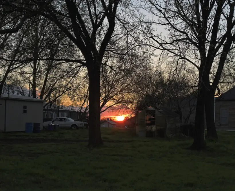 Colour photograph of a sun setting in the distance and trees in the foreground