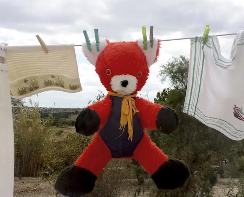 A photograph of a red teddy bear hanging on a washing line