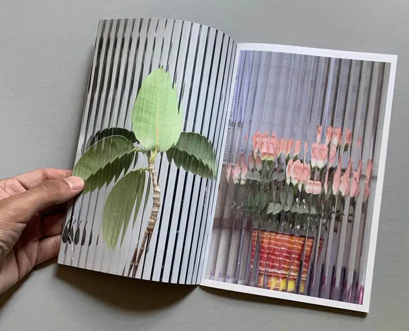 A hand turns the pages on a photo zine featuring images of house plants