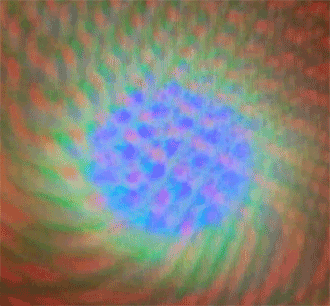 Sun/Screen. © Penelope Umbrico, 2014